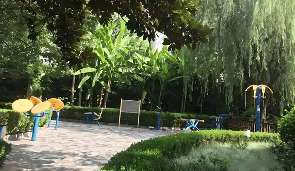 深圳入户加分政策_《南京照相馆》很好，能爆！ 遭到证民了办警的拒绝