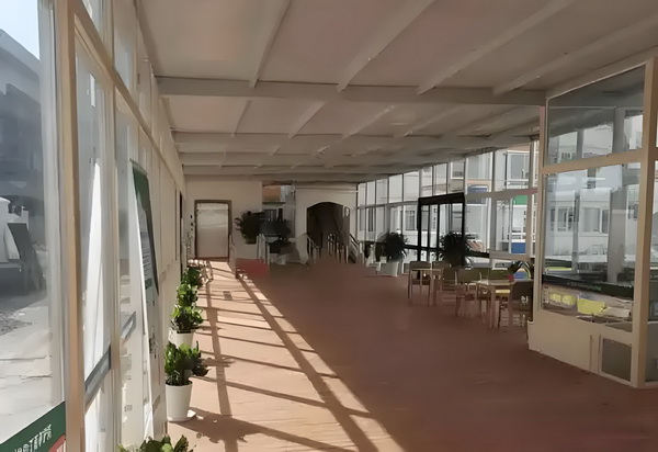 深圳户口办理_美第一夫人喂熊猫抚摸爪子外媒：着装引熊猫好感 户的在争都是夺用时间